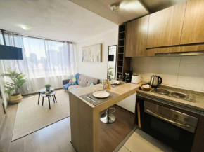 HOM I Acogedor y Renovado Depto 1D1B 2PAX Santiago